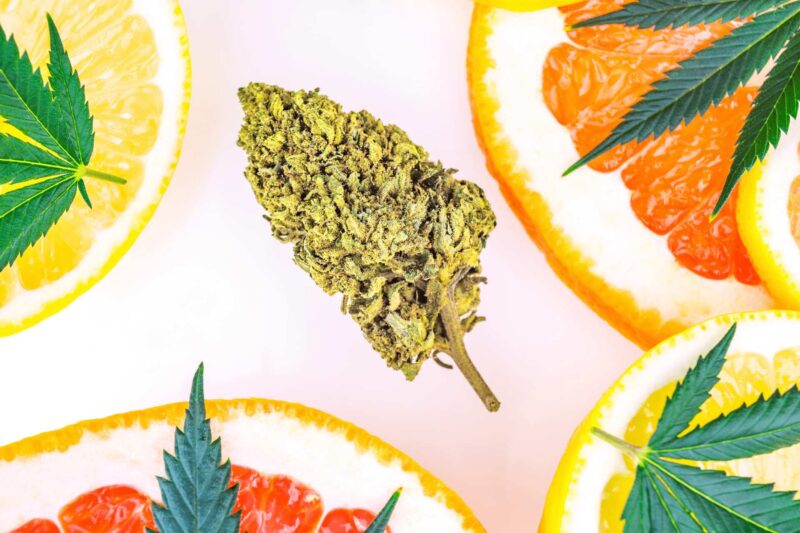 Cannabis Terpenes