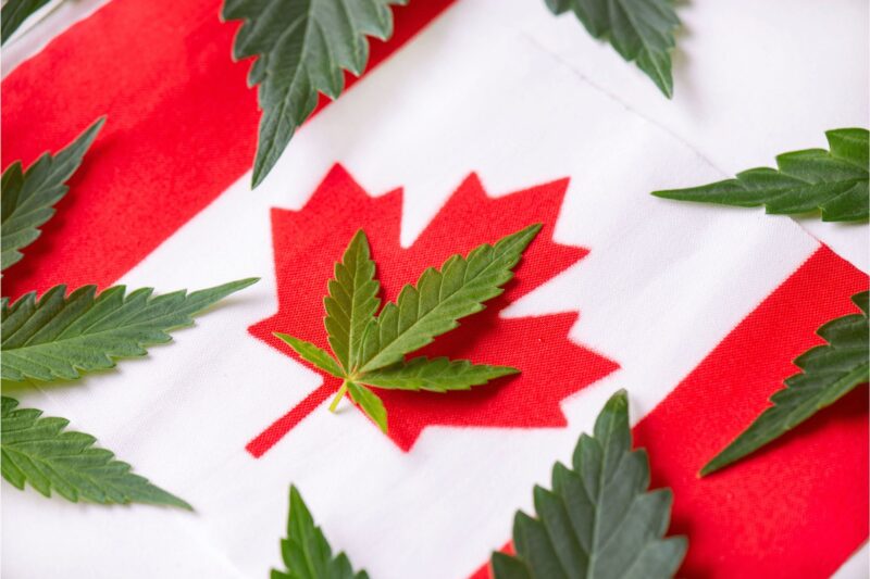 a Canadian flag with a cannabis leaf covering the maple leaf