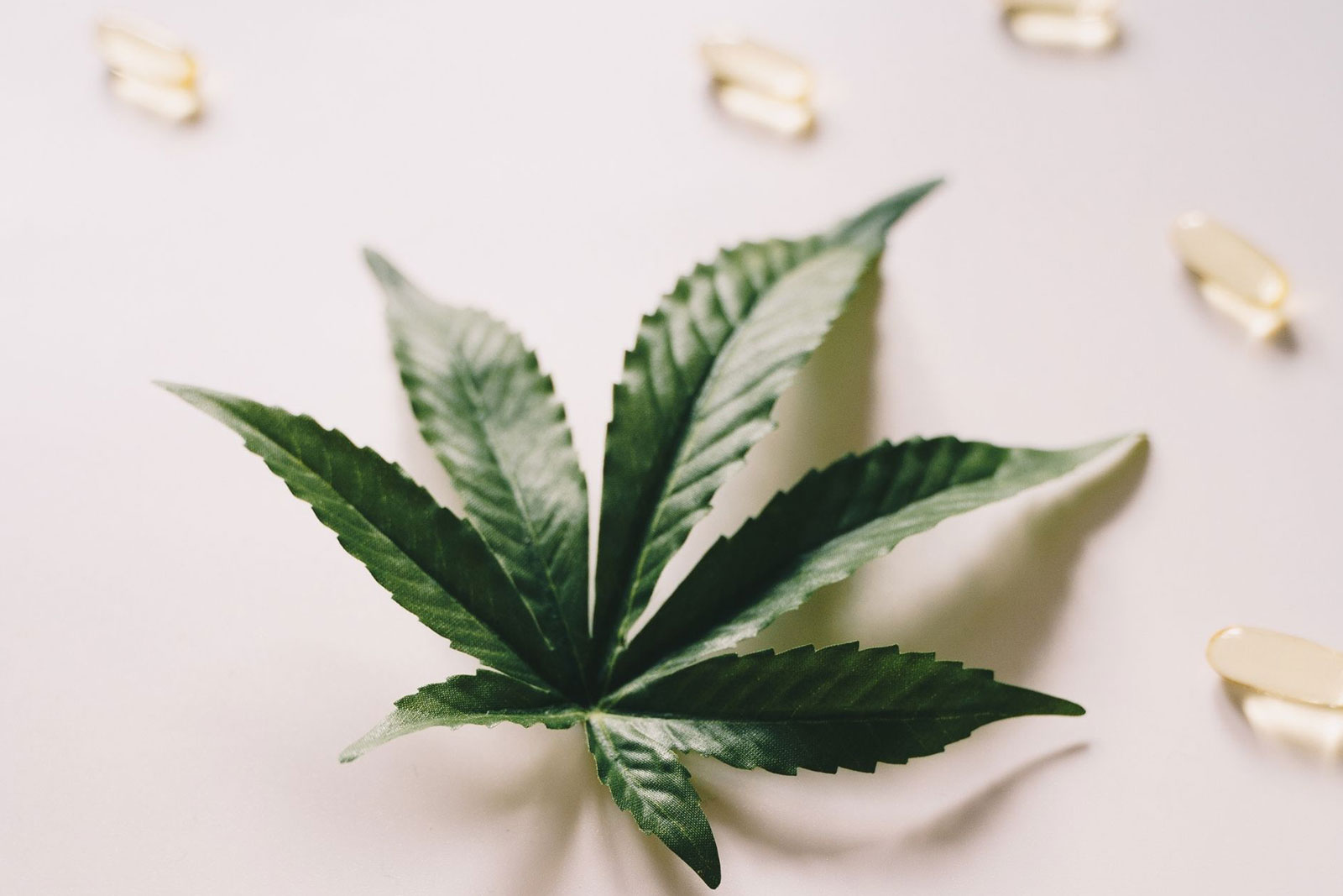 A cannabis leaf and CBD oil capsules