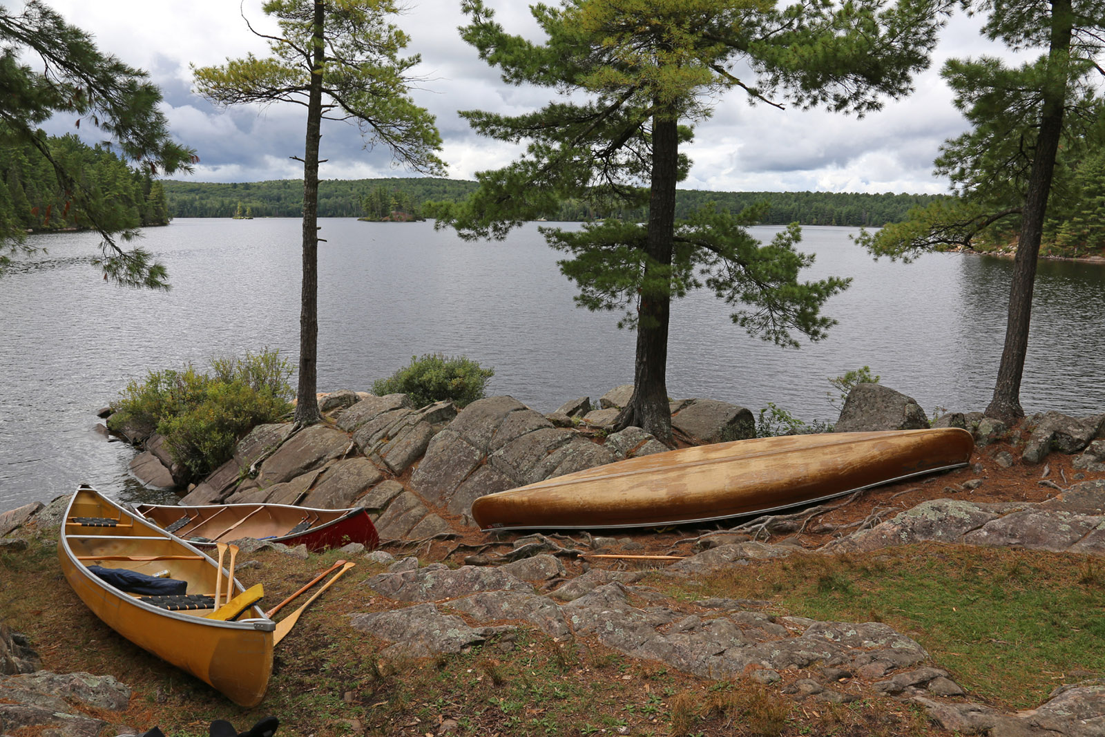 three canoes sitting on the water’s edge at Algonquin Park, Ontario