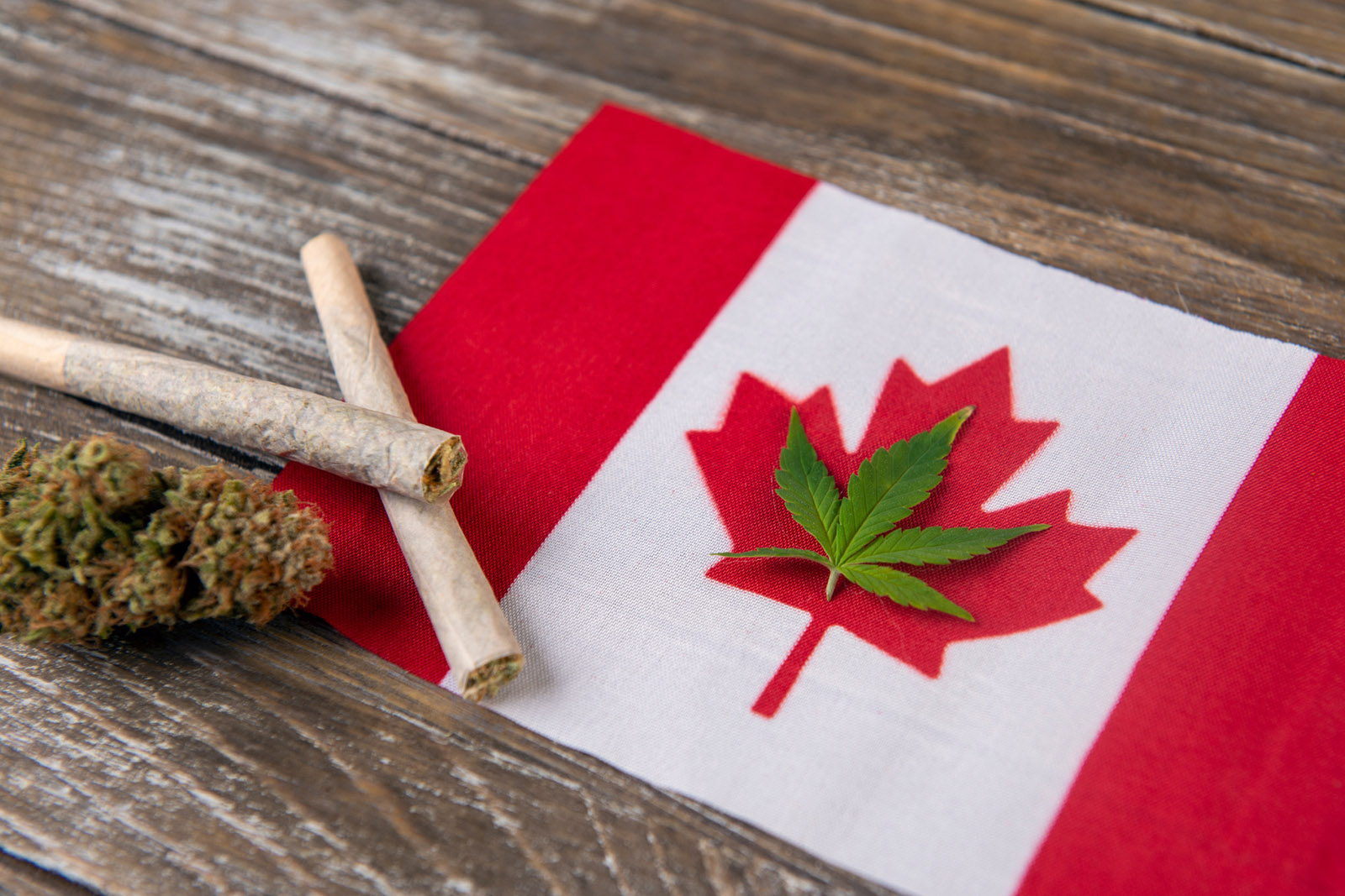 a Canadian flag with a cannabis leaf in the centre surrounded by joints and bud