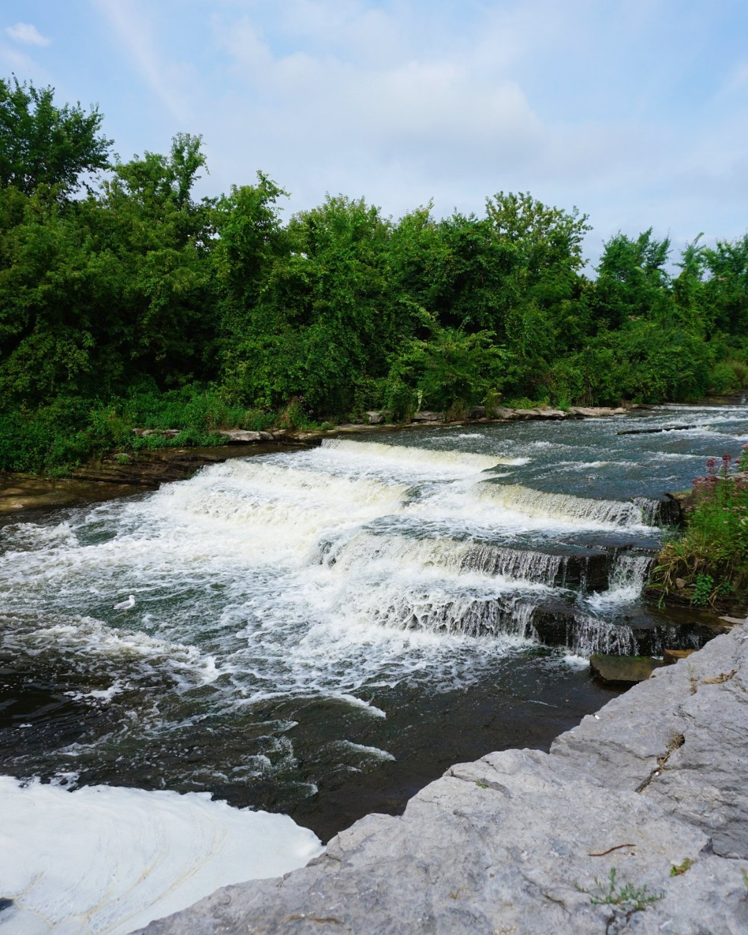 Springside Park Falls in Napanee, Ontario