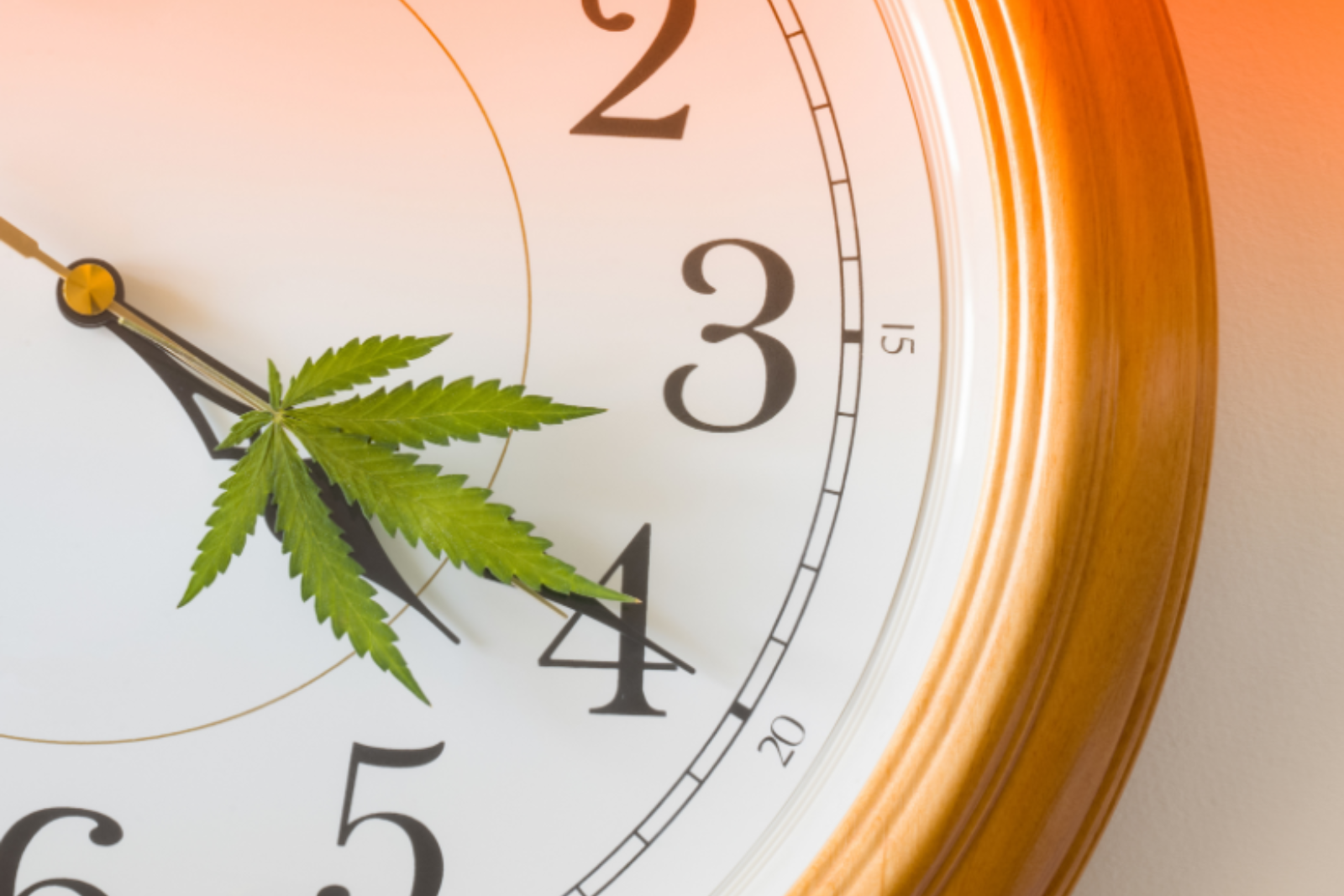 A clock showing the time “4:20” with a cannabis leaf on the hour hand