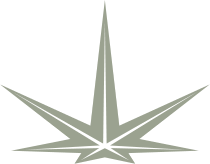 True North Cannabis Co Logo