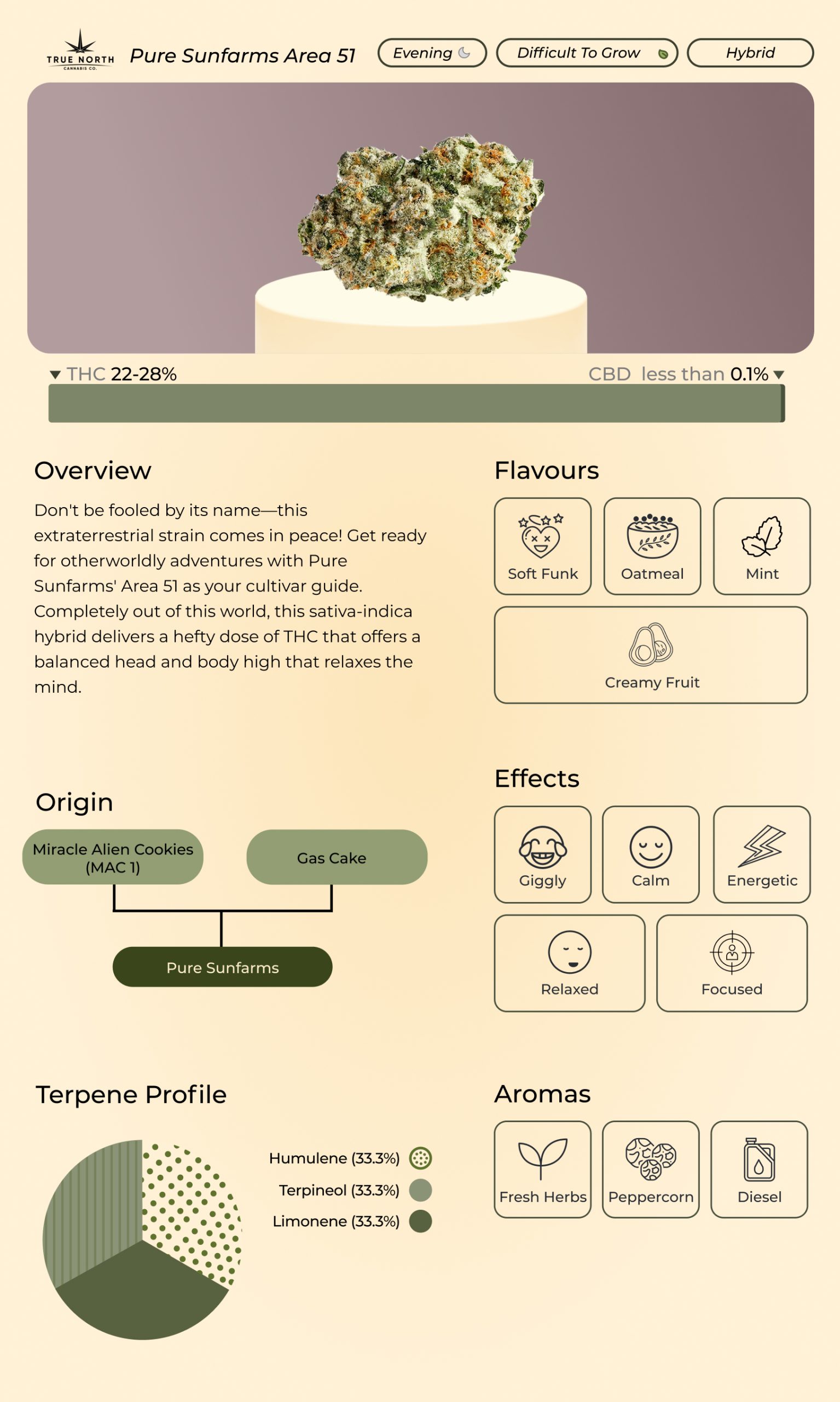A custom infographic depicting Pure Sunfarms’ Area 51 strain effects
