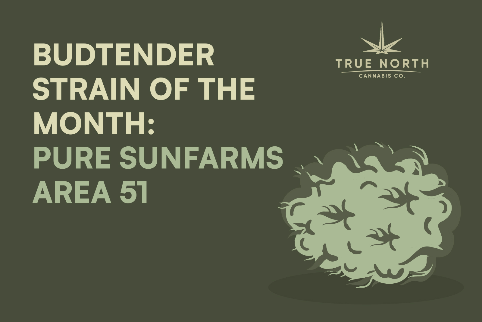 A custom graphic depicting TNCC’s budtender strain of the month: Pure Sunfarms Area 51