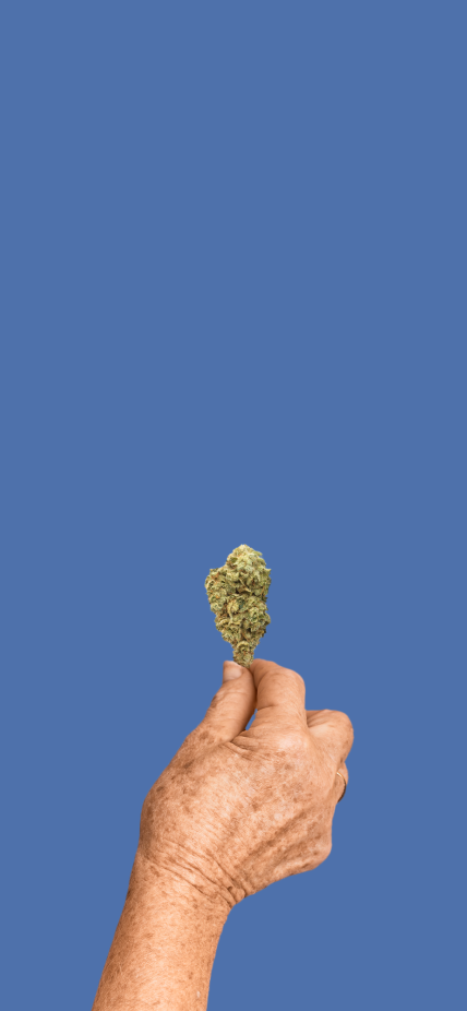 Quality Cannabis - True North Cannabis Co
