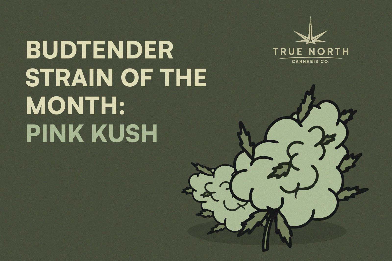 Budtender Strain Of The Month: Pink Kush - True North Cannabis Co