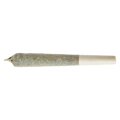 XPLOR LEVEL X - Beast Berry Distillate Infused Pre-Roll