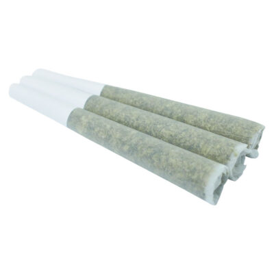 Orchard - Granddaddy Gelatti Pre-Roll