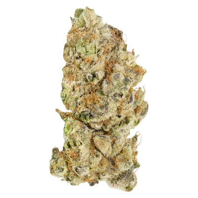 Broken Coast - Platinum Pavé