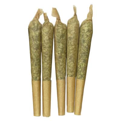 Clem & Co. - Apricot Cream x Cheese 1:1 Pre-Roll