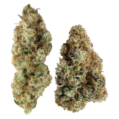 Northern Canna x Ministry of Sativa - Yin Yang