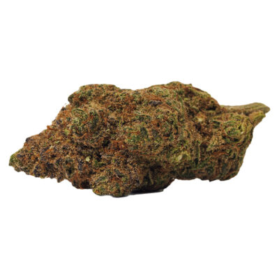 BOLD - Orange Crush