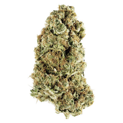 Redecan - Animal Rntz
