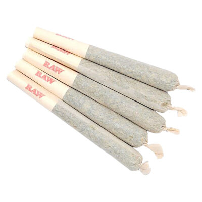 Sixty Seven Sins - Gary Satan Pre-Roll