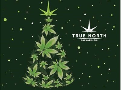 TNCC Holiday Card