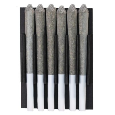 Station House - Amnesia Haze Pre-Roll