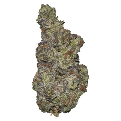 Terp Town Collective -  Queen of Tartz