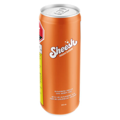 Sheesh Hash Sodas - Banjorine Dream Live Rosin Fizz