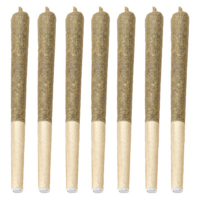 Bud Lafleur - Dante'z Inferno Pre-Roll