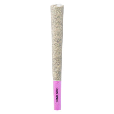 Pistol and Paris - Pink Goo Pre-Roll