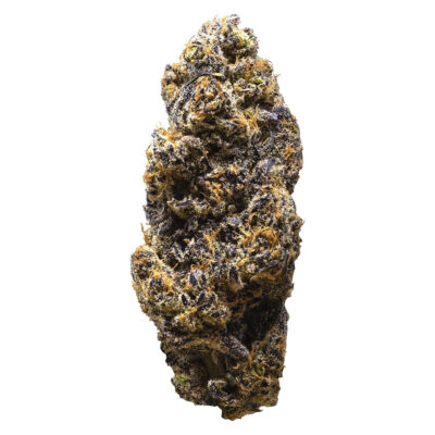3rd Coast Genetics - Frozen Cola