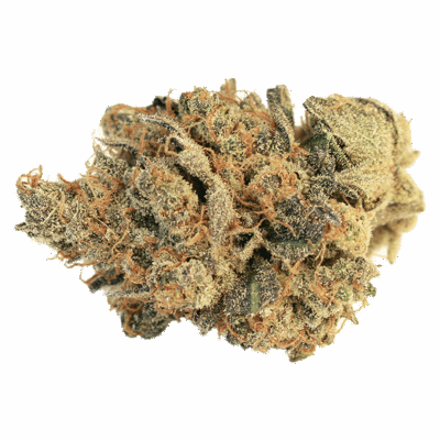 WAGNERS - Pink Bubba