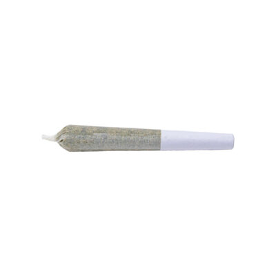 1Spliff - Spliff Caddy Pre-Roll