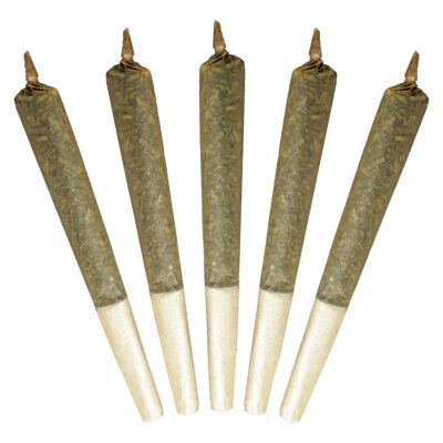 Buddy Blooms - Big Buddy Sativa Pre-Roll