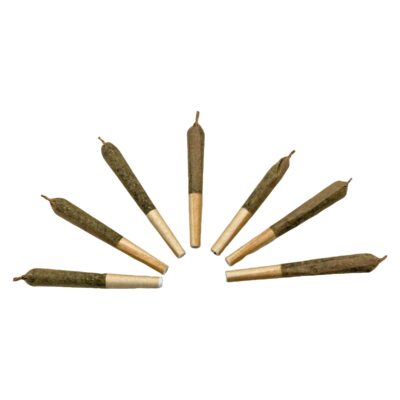 TICAL - The Bliss - Hybrid Pre-Roll