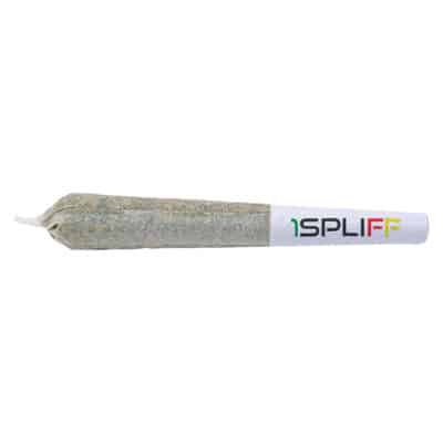 1Spliff - Caddy Mega Sampler Pack