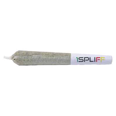 1Spliff - Pink Lemonade Pre-Roll