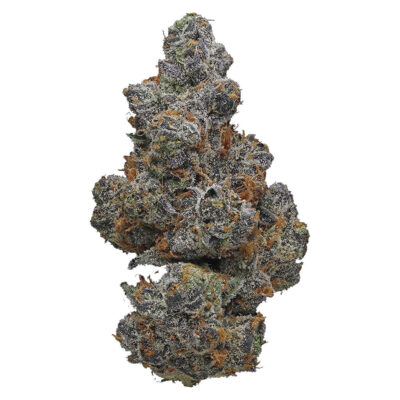 Potluck - Apple Fritter