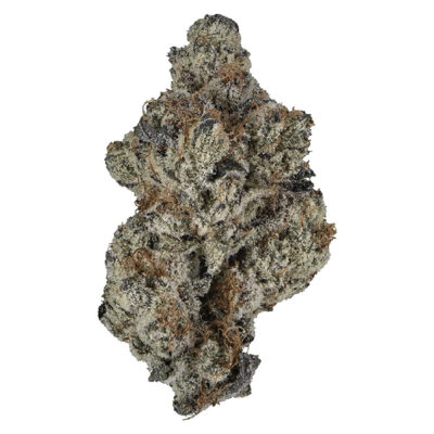 Ambr - Grape Cake