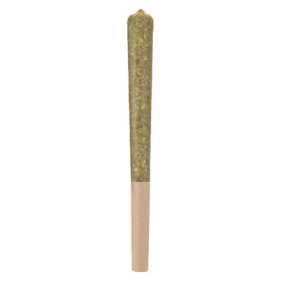 Woody Nelson - Rocketeer Infused Pre-Roll