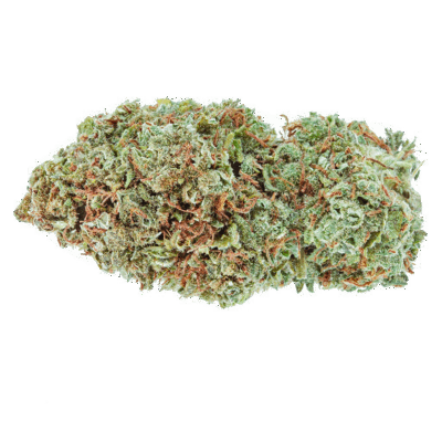 Highly Dutch Organic Amsterdam Sativa
