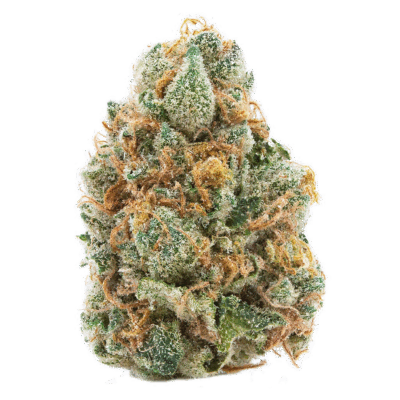 Spinach GMO Cookies