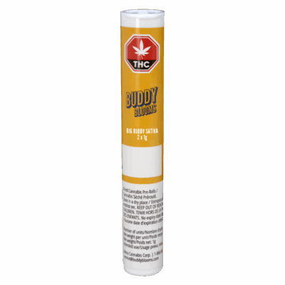 Buddy Blooms - 2 x Big Buddy Sativa Pre-Roll