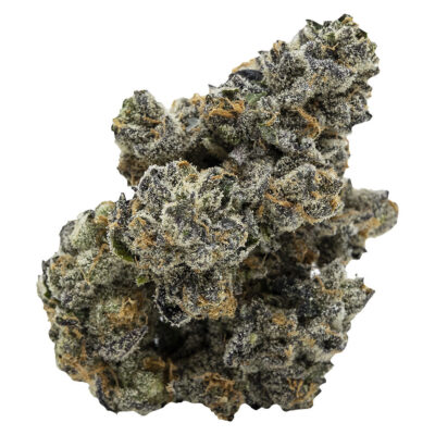 Pistol and Paris - Blackberry Breath