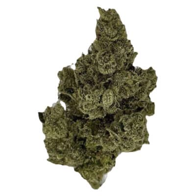 Bambu Select - Double Donny