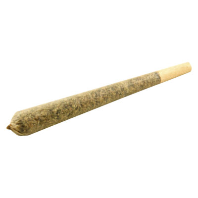 HVT - GO TIME Pre-Roll