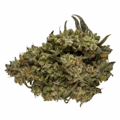 Orchid CBD CBD Runtz