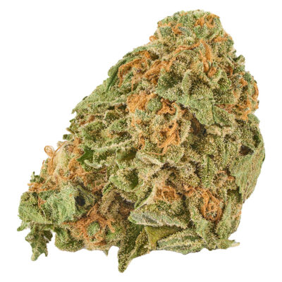 Good Supply - Grand Daddy Purps?