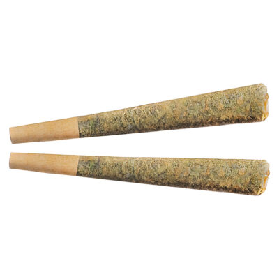 Fuego - Night Rider Pre-Roll