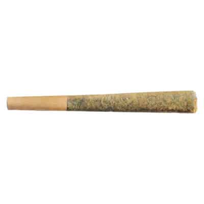 Fuego - Sunny Daze Sativa Pre-Roll