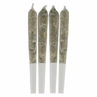 Dime Bag - Tropical Pocket Puffs Pre-Roll