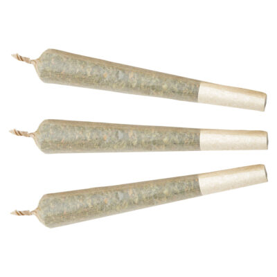 XPLOR Level X - Watermelon G-Bear Distillate Infused Pre-Roll