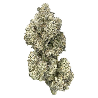 HighXotic - Royal Dive#5: Purple Zombie