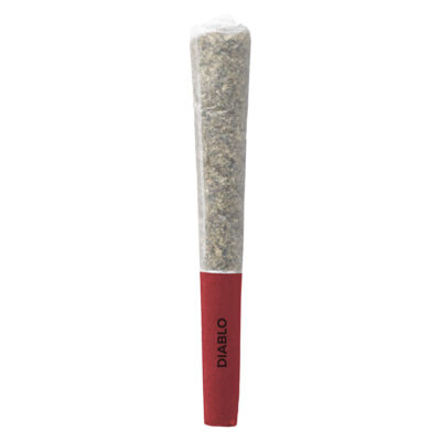 Pistol and Paris - Diablo Pre-Roll